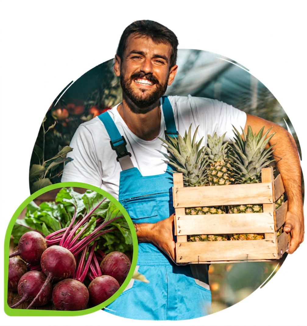 Sobre a Mais Detox